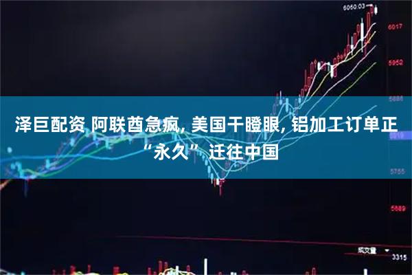 泽巨配资 阿联酋急疯, 美国干瞪眼, 铝加工订单正 “永久” 迁往中国