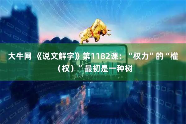 大牛网 《说文解字》第1182课：“权力”的“權（权）”最初是一种树